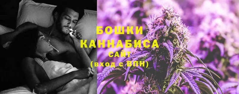 Каннабис OG Kush  Шахунья 